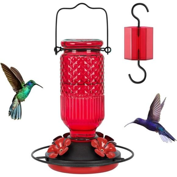 Glass Hummingbird Feeder for Outdoors Hanging, 16 OZ Humming Birds Feeders - Picture 1 of 7
